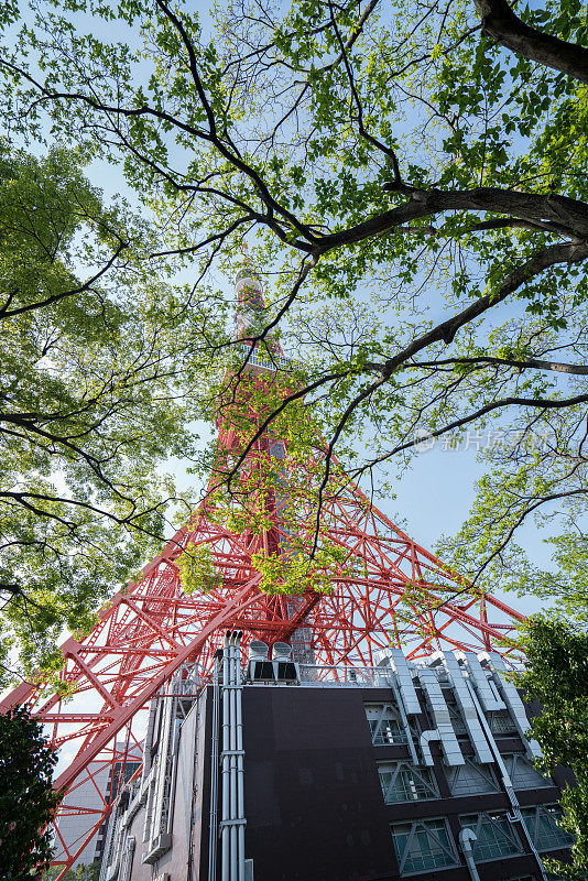东京塔，一个通讯和观察塔。