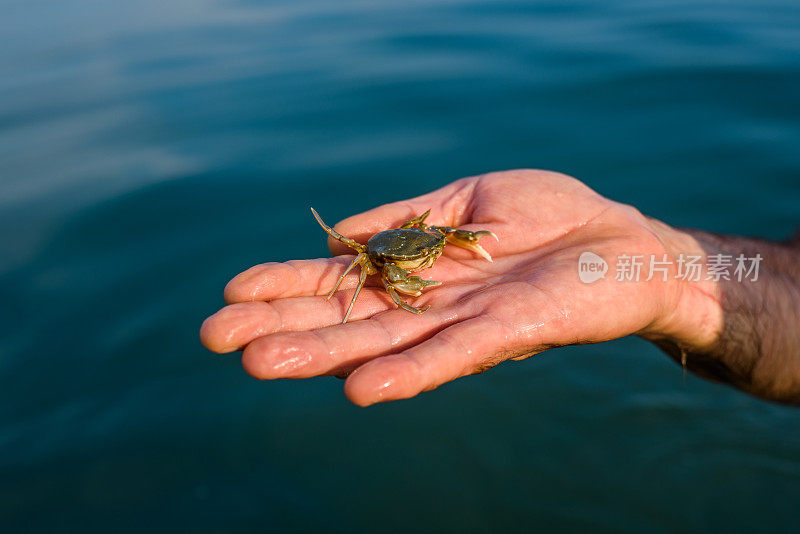 手牵小螃蟹