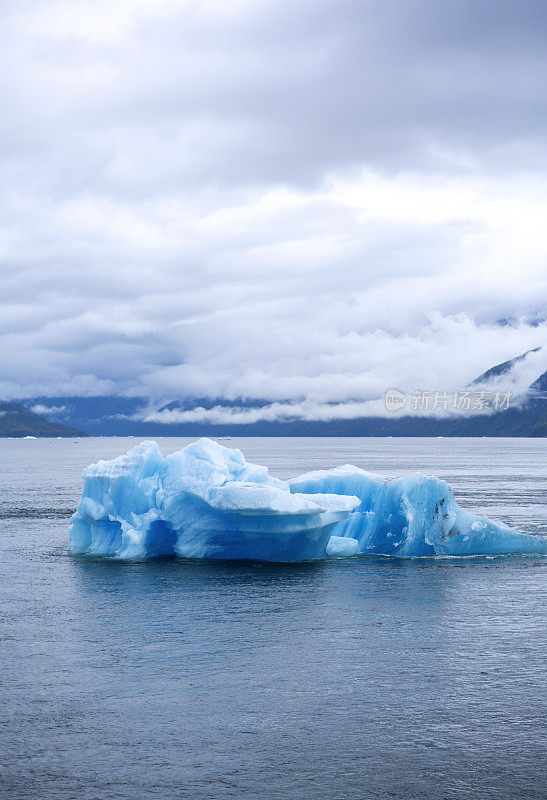 蓝色冰山漂浮在一个多山的海湾-垂直