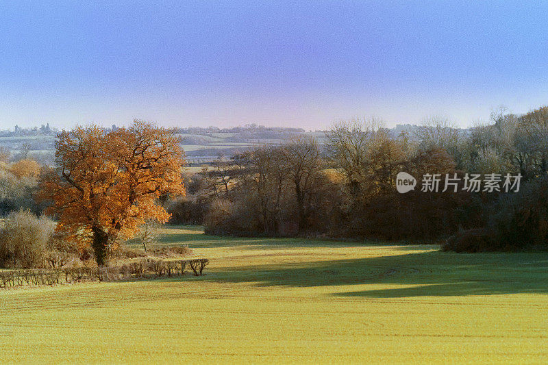 从小路上望去，穿过典型的英国乡村风景——绿树成荫的田园风光——在阳光明媚的日子里徒步行走风景郁郁葱葱