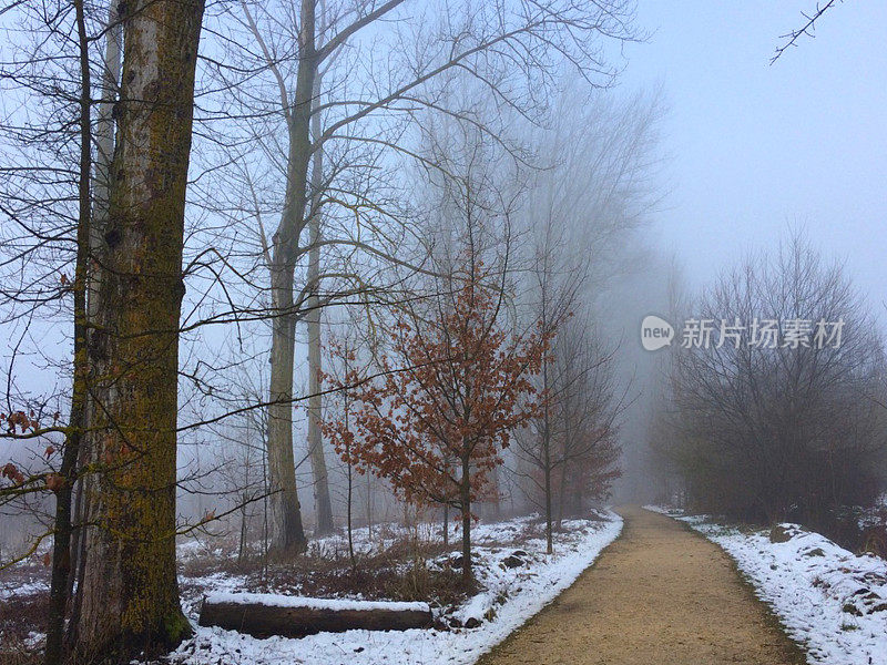 萨尔布鲁公园的雪。威托利亚-加斯泰兹。西班牙