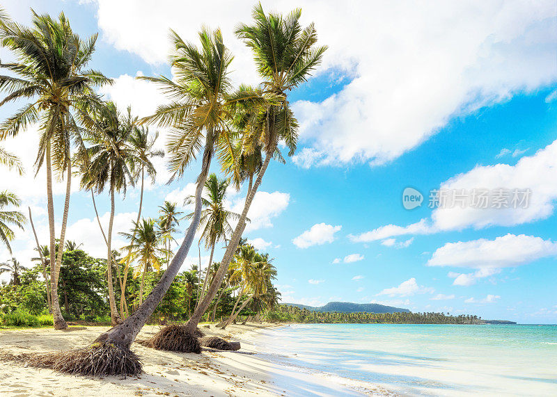 多米尼加共和国度假