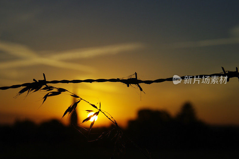 黎明的场景