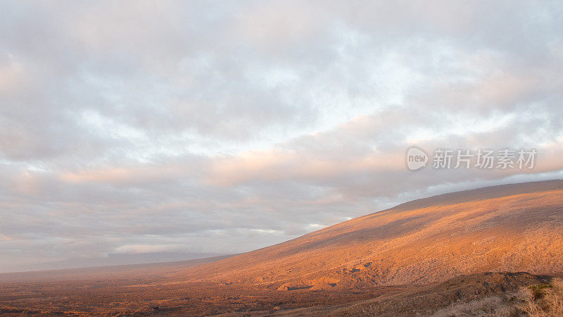 在塔古斯湾的火山顶上，8号