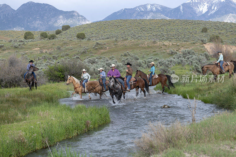 在美丽的犹他州荒野景观中，牛仔骑着马，溅着水穿过一条小溪