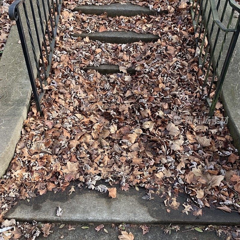 树叶覆盖的户外台阶