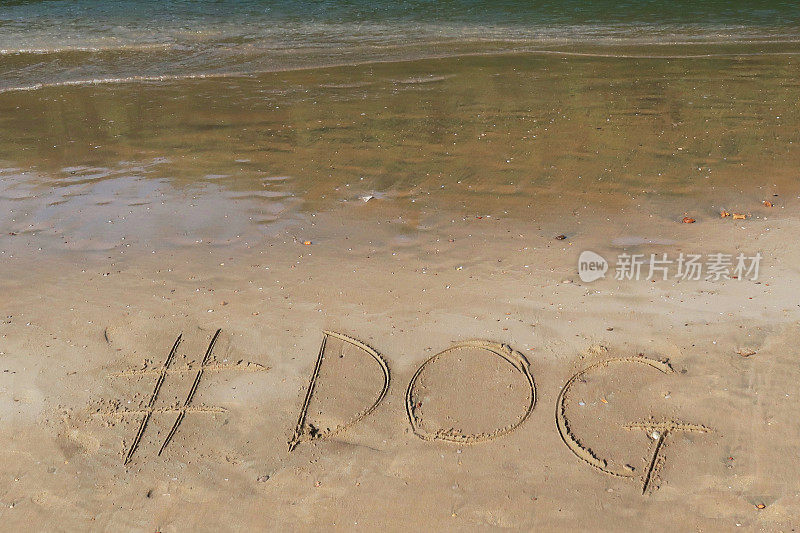 图片的标签标签写在阳光沙滩上的狗字写在沙滩上，Palolem海滩，印度果阿，概念社交媒体照片的手写在金色的沙子与现代标签前缀