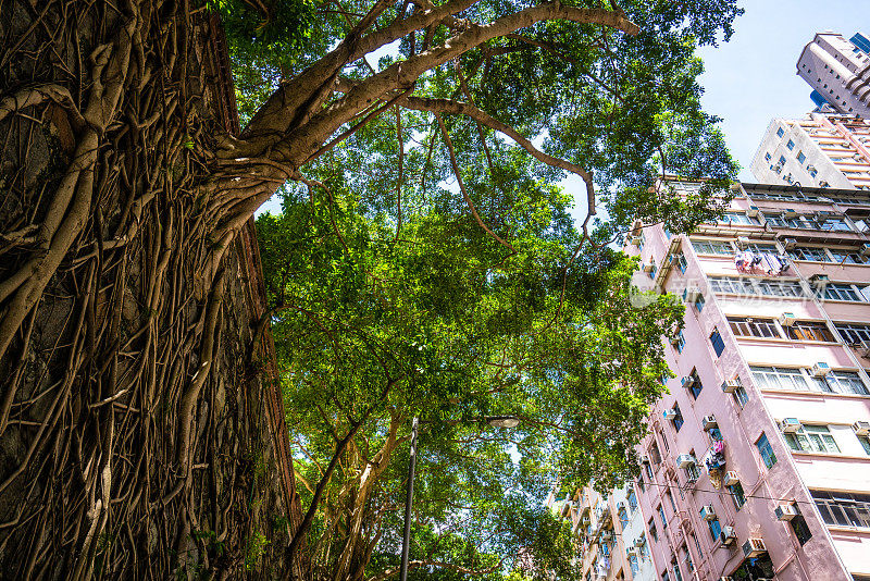 香港拥挤的房屋