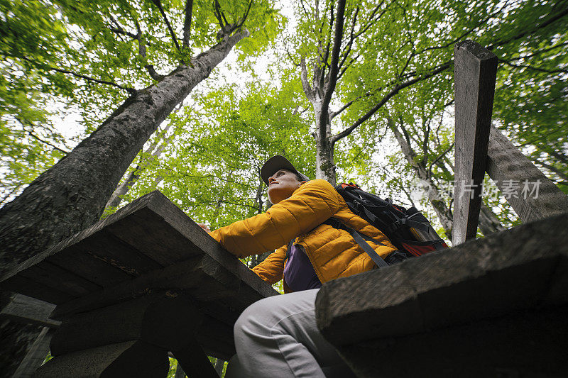 回归自然。独自旅行的女人在大自然中休息。2019冠状病毒病大流行结束后，在阳光明媚的一天在森林里徒步。