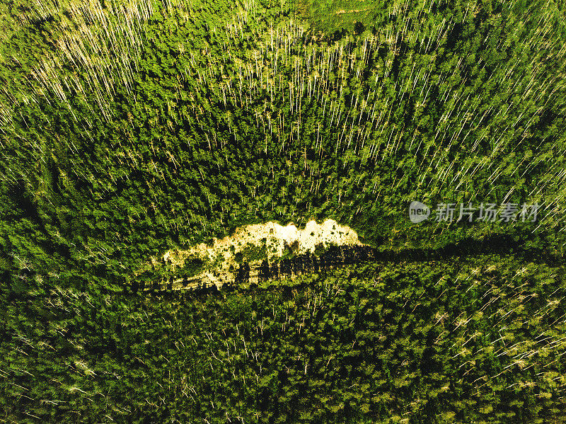 微风和阳光明媚的夏日空中和景观的大Mesa国家森林