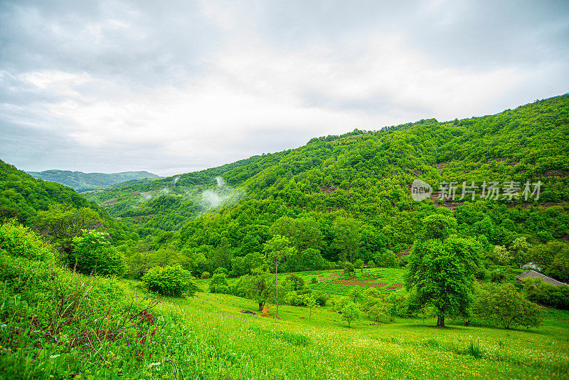 斯塔拉平原老山的绿草地