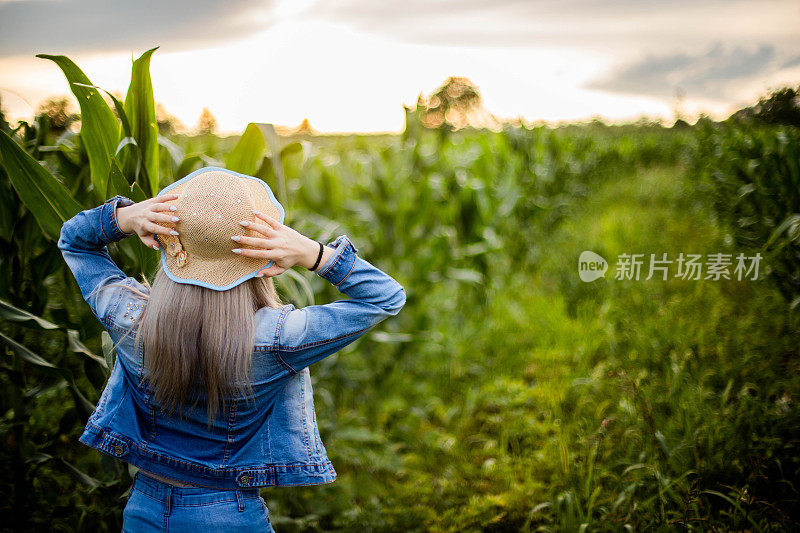 后视图美丽的女孩享受日落在田野