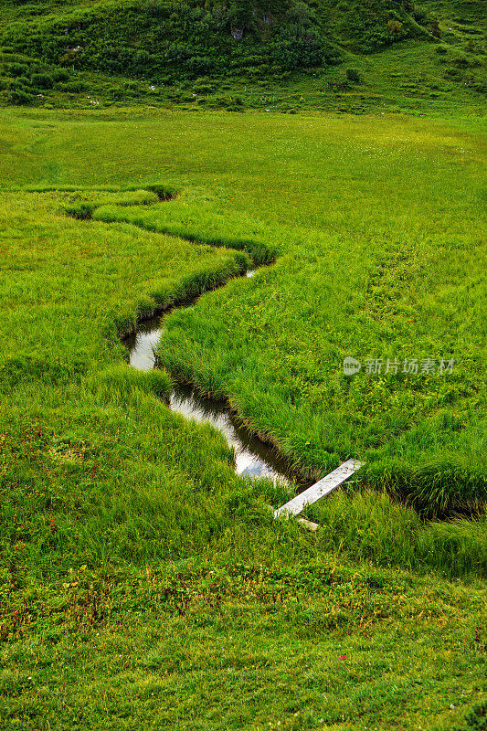 美丽的乡村溪流在奥地利的绿色风景中