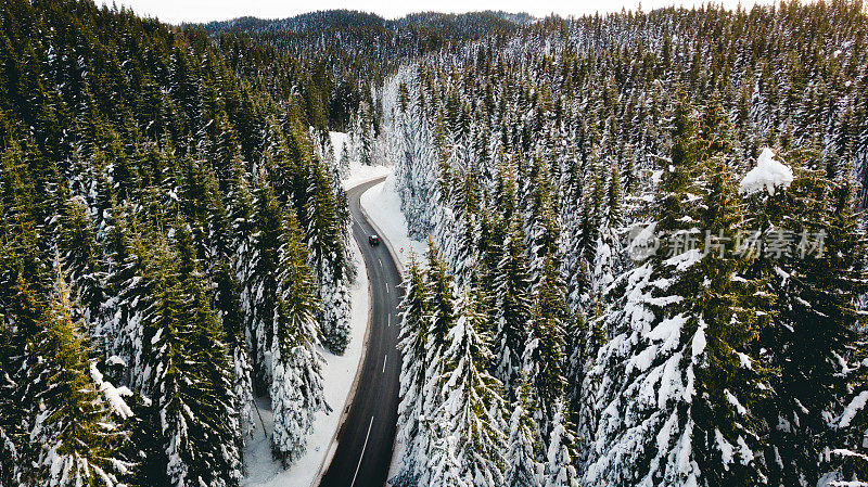 弯曲多风的道路在积雪覆盖的森林，从上到下鸟瞰