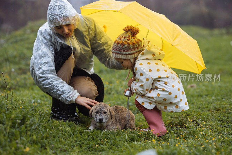 小女孩和妈妈在雨天给小狗雨伞