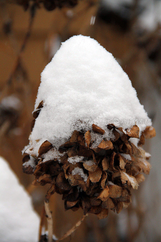 雪桩