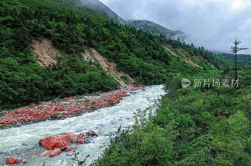 红色的石头在湍急的河流浙多，康定，中国，四川