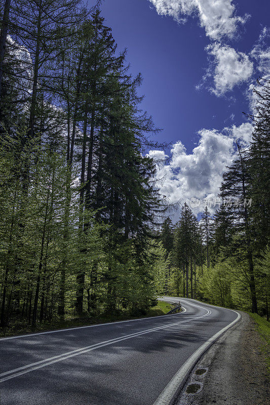 全景山路(HDRi)