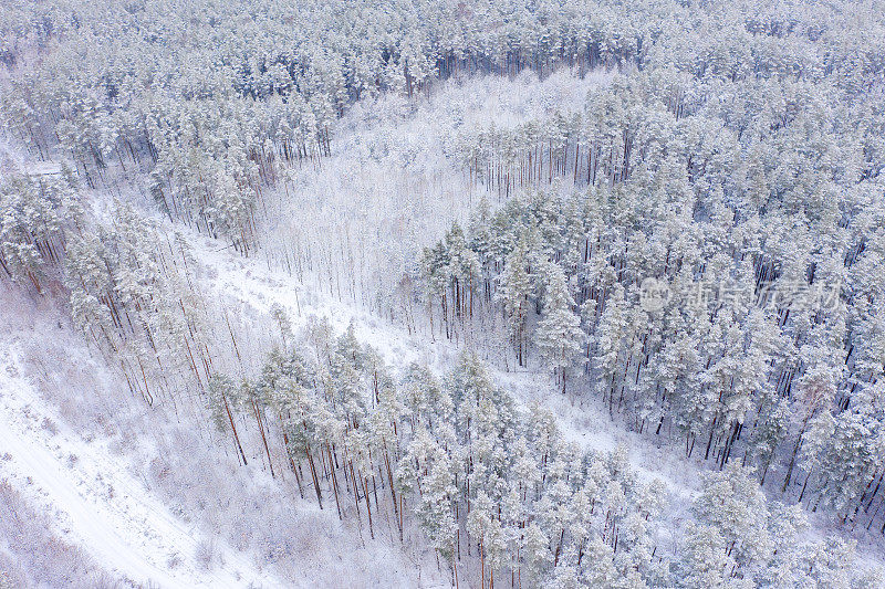 鸟瞰被冰雪覆盖的森林包围的道路。