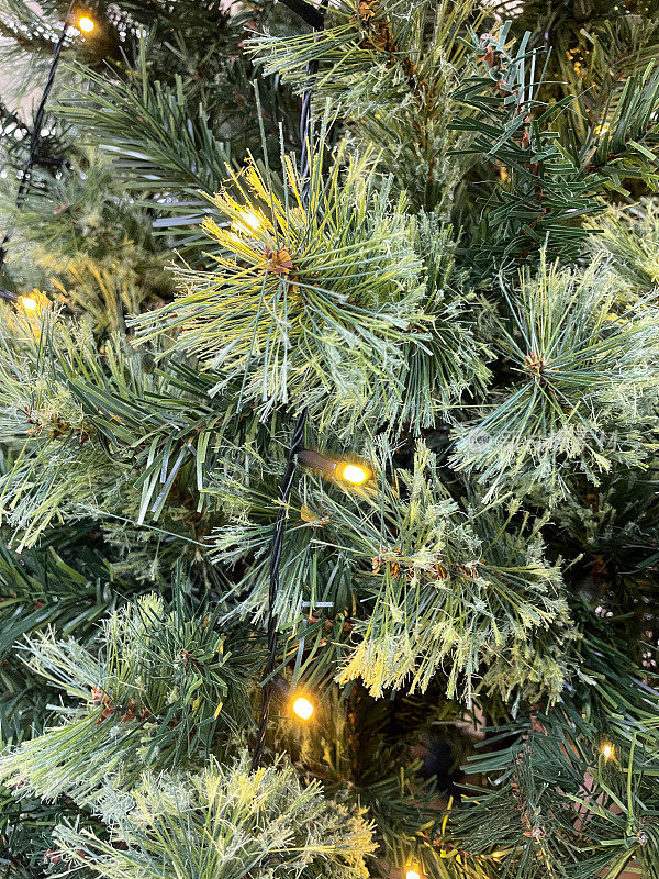 全帧图像的人工冷杉圣诞树与塑料针装饰白色，照明仙女灯，重点在前景