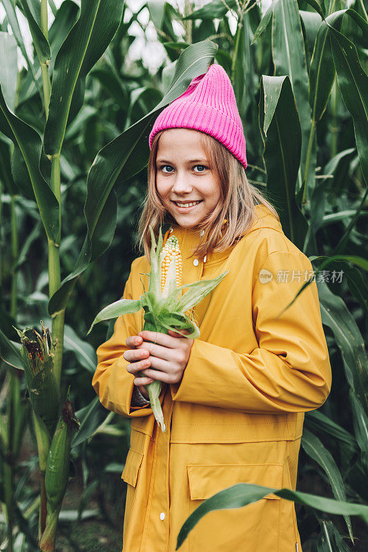 穿着黄色雨衣和粉红色帽子的时髦少女在玉米地里笑