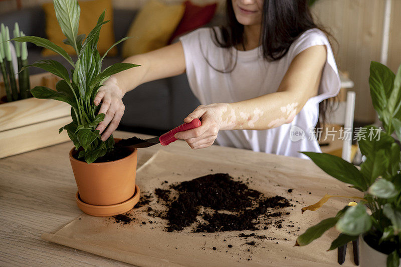 一个不知名的年轻白人妇女在家里照顾她的植物的特写