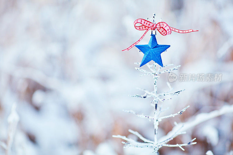 圣诞树上有蓝色的星星和红色的丝带，背景是雪