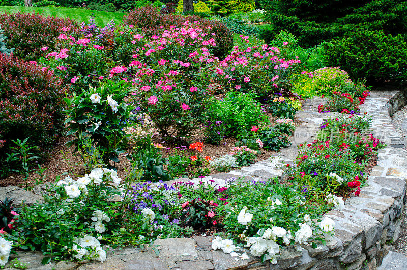 漂亮的花园小径与鲜花和花园长凳