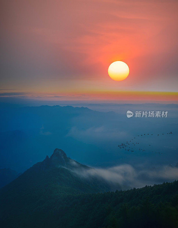 远处的山和鸟在夕阳