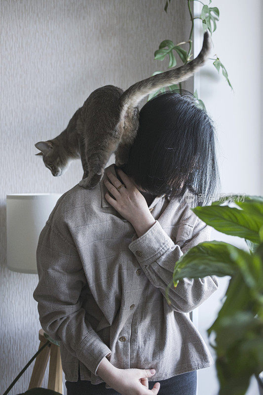 一位年轻的妇女抱着一只黄眼睛的灰猫。猫和她的女主人在家里。照顾宠物。