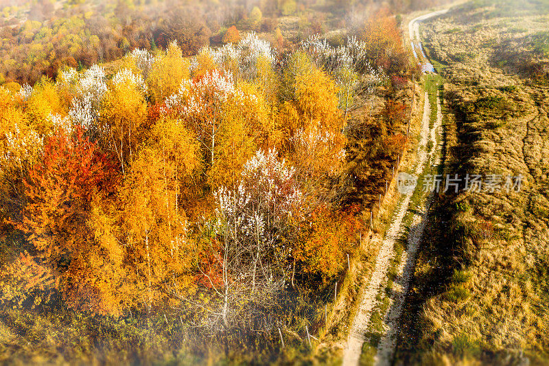 从上面看，秋天森林附近蜿蜒的道路