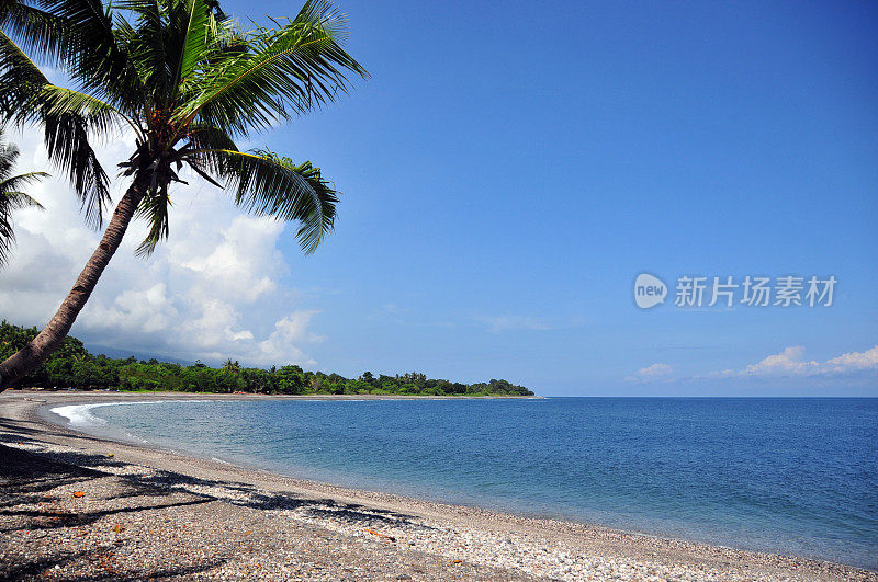 利奥帕海滩，Liquiça的中心海滩-椰子树倾斜在班达海，东帝汶