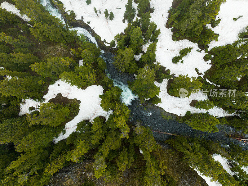 一条河流穿过积雪覆盖的高山森林