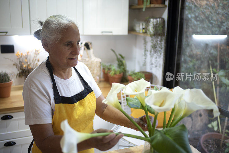 老妇人在她的房子里插花