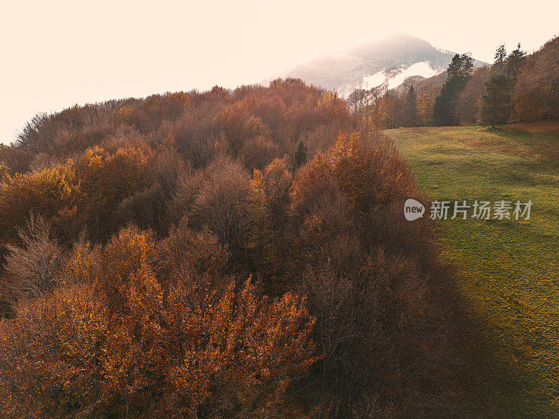 无人机鸟瞰图:彩色混合秋天森林空中背景