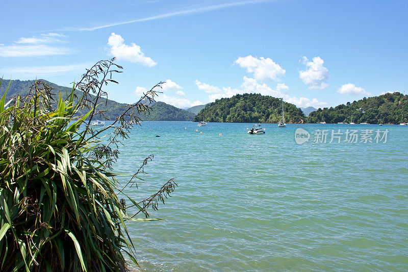 海岸景观-莫莫orangi湾，马尔伯勒海峡，皮克顿，新西兰