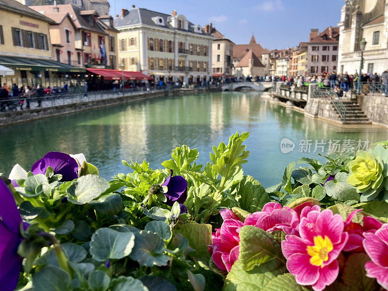 法国-安纳西-老城和鲜花