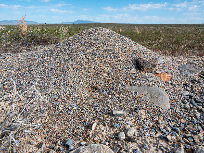 沙漠中的大型锥形蚁丘收割机。