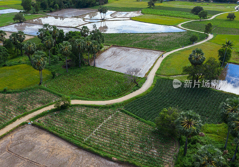 安江省一条穿过稻田和菜地的乡村公路的航拍照片