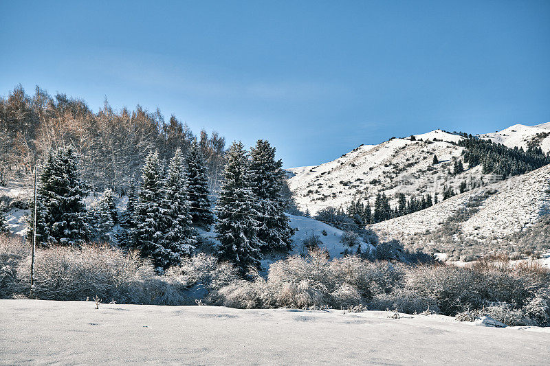 降雪后的冬季山景