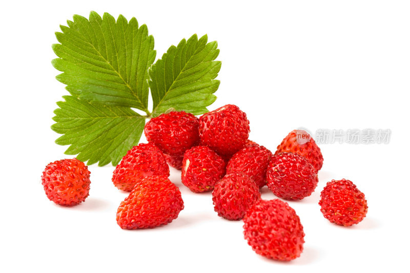 孤立的水果-野草莓