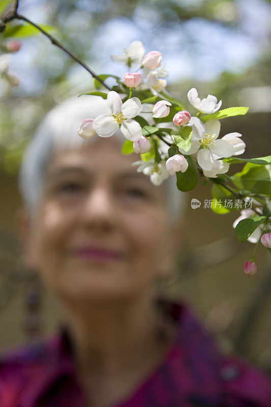 樱花花和年长妇女肖像