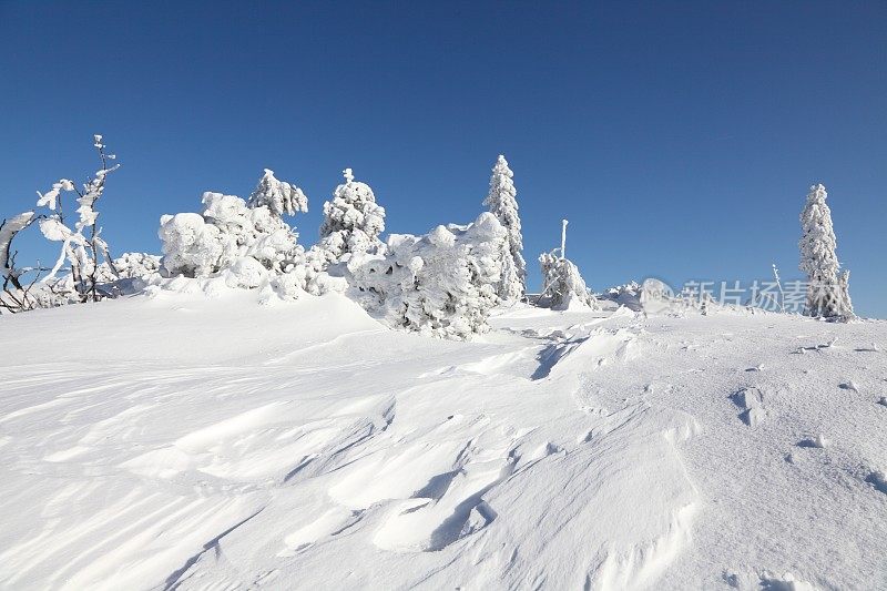 冬天的风景与雪在黑森林