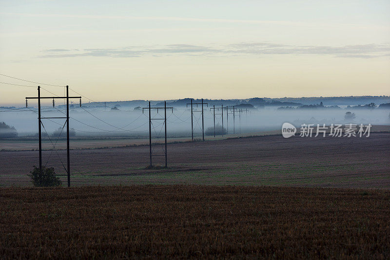 清晨薄雾笼罩着电线