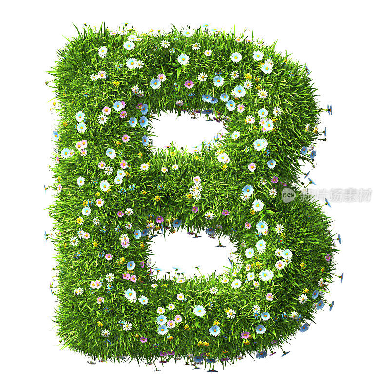草和花的字母B