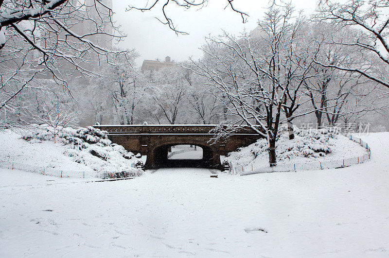 中央公园下雪