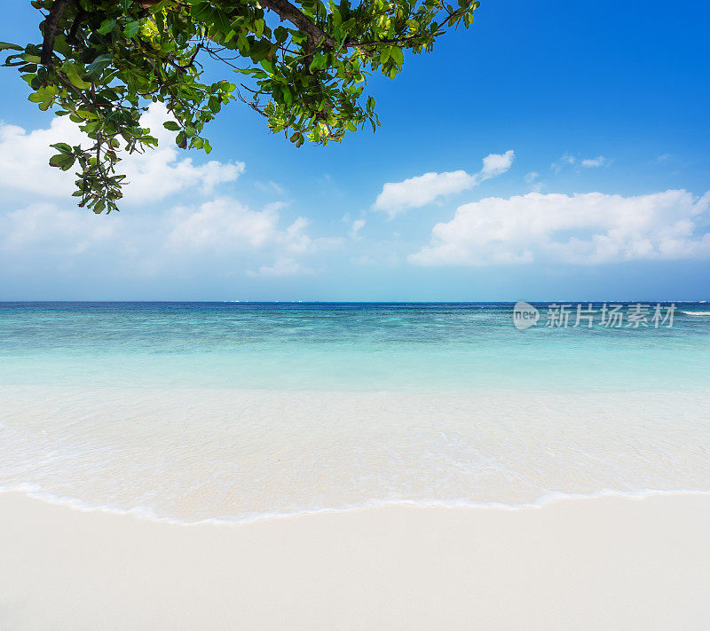 热带海滩的背景