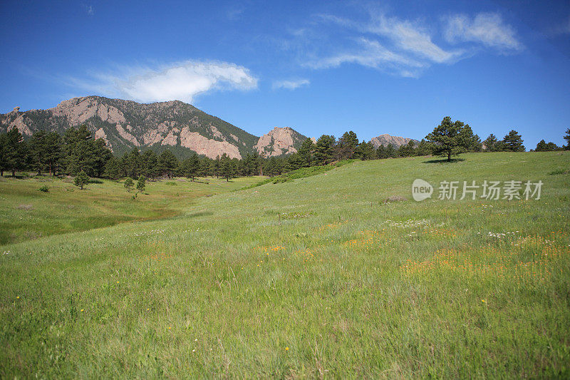 科罗拉多平顶山博尔德山草甸