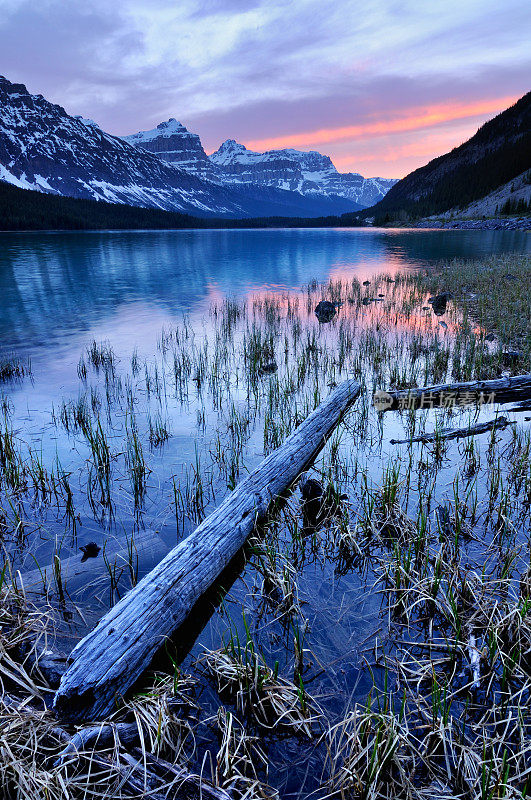 在加拿大落基山脉的水鸟湖中倒影的黄昏山景