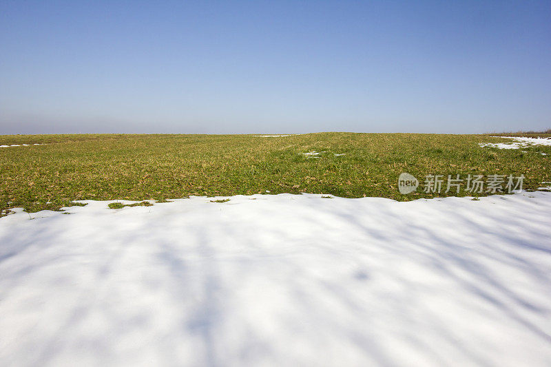 绿草草地，部分被雪覆盖